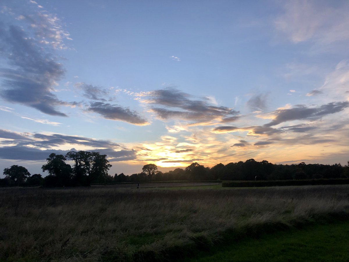 South County Dublin on an Autumn’s evening🚶🏾❤️