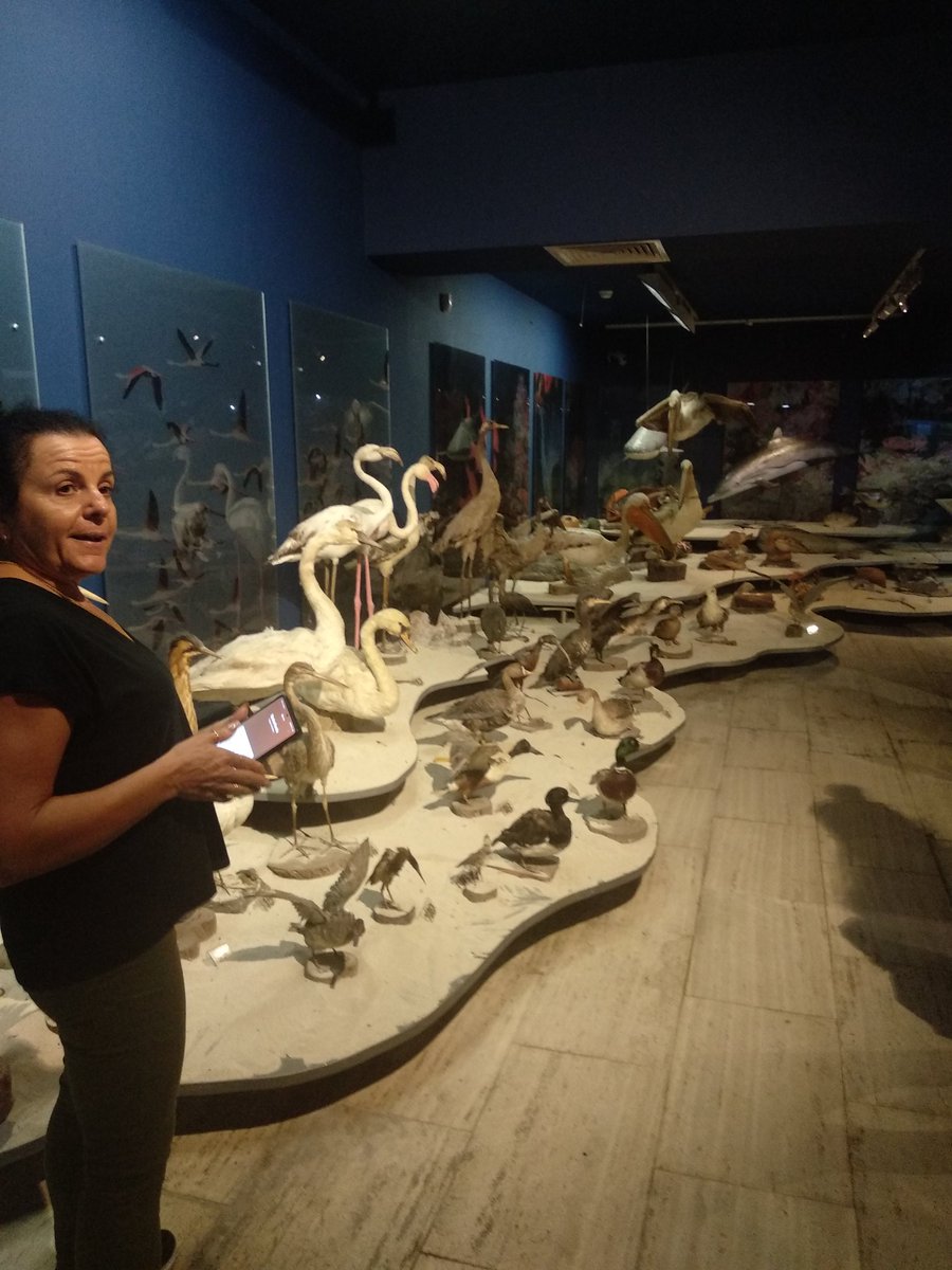 CPRAderan2's tweet photo. #Mierasmusplus #ErasmusPlus @sepiegob @ceparacena Segundo día.En bus hasta Agia Napa para ver el Museo Thalassa con todo el alumnado. También visitamos el colegio Antoni Tsokkou, una ecoescuela situada frente al mar y con excelentes instalaciones.#TeacherOnTour https://t.co/NbcO2ga1oI