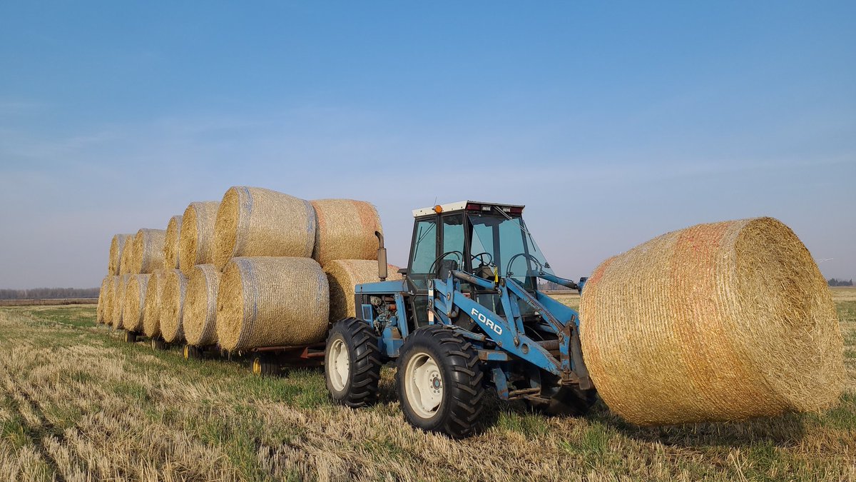 TSmith1867's tweet photo. These tractors, along with square body Chevy need to be put back into original production 👌 https://t.co/jRRvMY8UZL