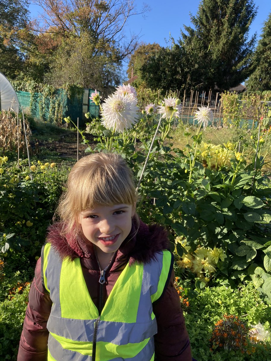 WlpsYear2's tweet image. 2H took their role of being an Environmental Expert into the local area. A visit to the allotments to observe and record changes in the seasons. #schooltrip #environmentalexperts #allotments