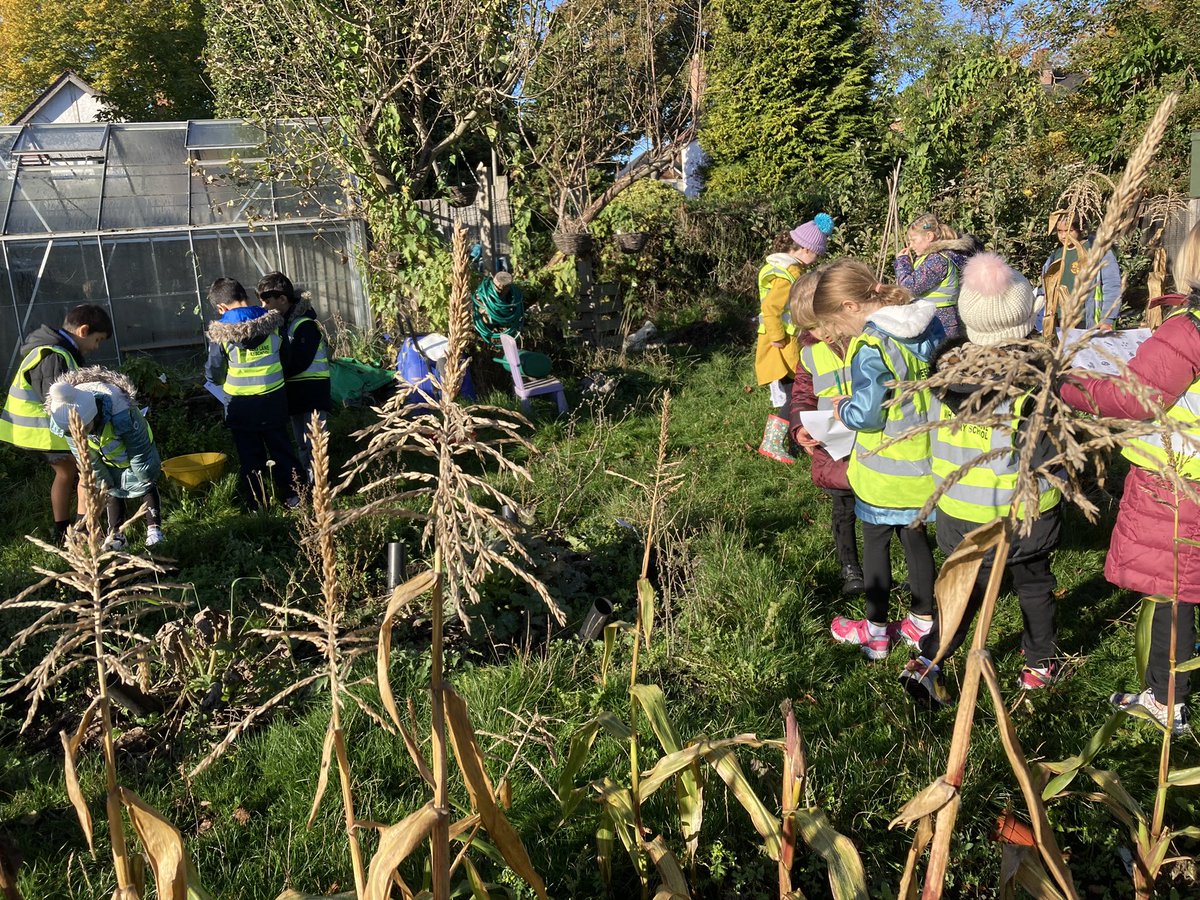 WlpsYear2's tweet image. 2H took their role of being an Environmental Expert into the local area. A visit to the allotments to observe and record changes in the seasons. #schooltrip #environmentalexperts #allotments