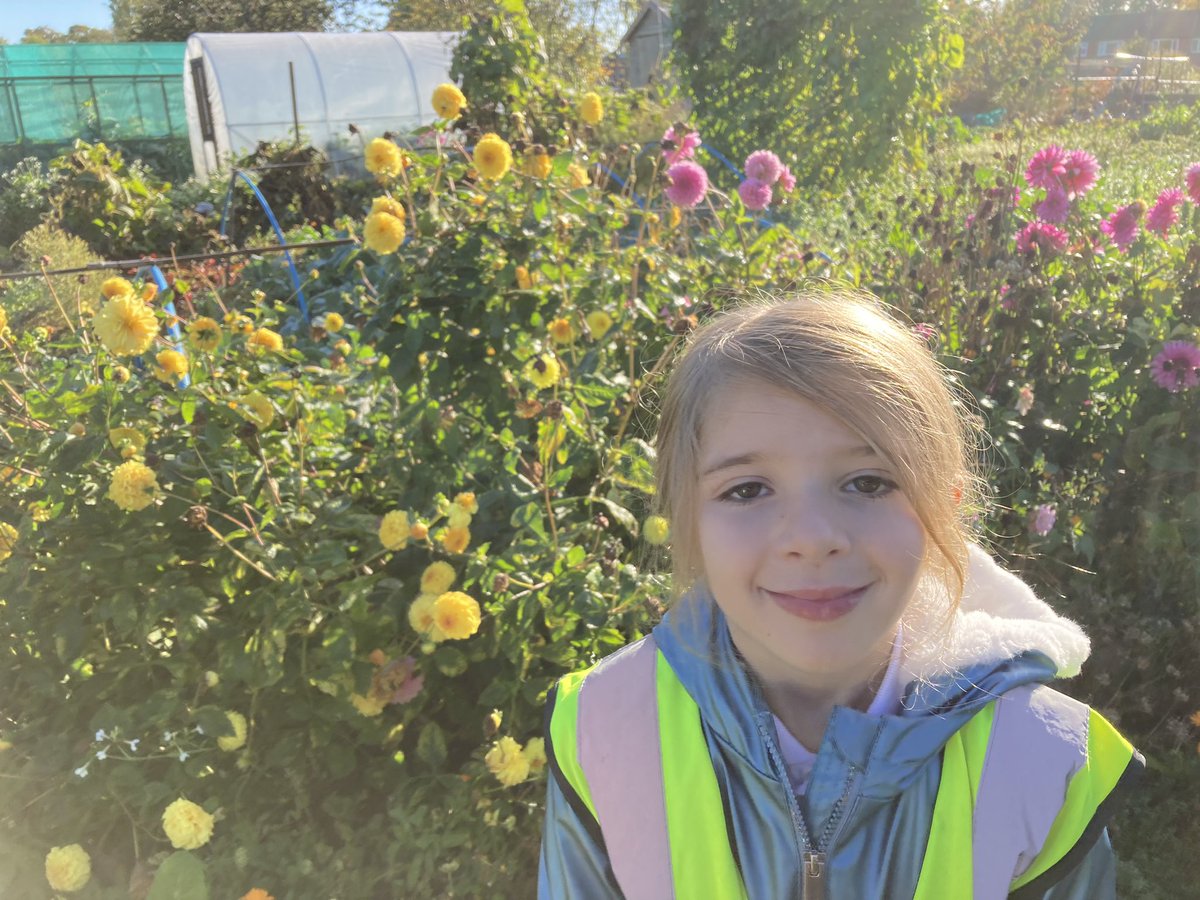 WlpsYear2's tweet image. 2H found some interesting plant life they wished to remain protected and thought about ways we could reduce pollution and encourage seed dispersal. #environmetalexperts #localarea #protectplants #localwalk #allotments