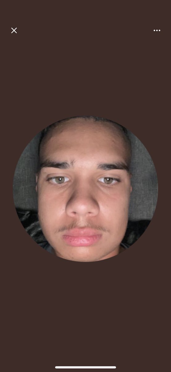 andrew helms tweet media