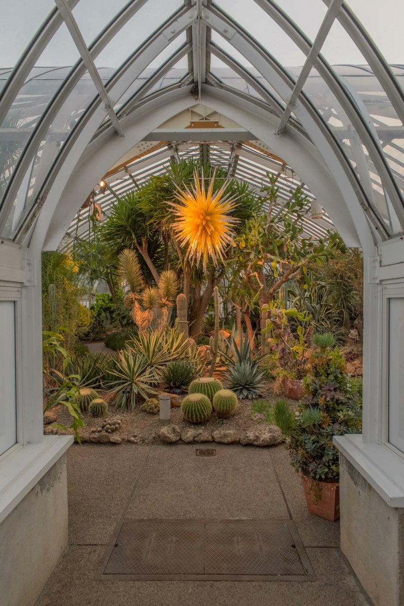 Have you ever had questions about Phipps but didn't know where to turn? In our members only event, Ask Phipps Anything, you have the chance to finally ask those burning questions. The possibilities are endless! Register here: phipps.conservatory.org/calendar/detai… Photo © Paul g. Wiegman