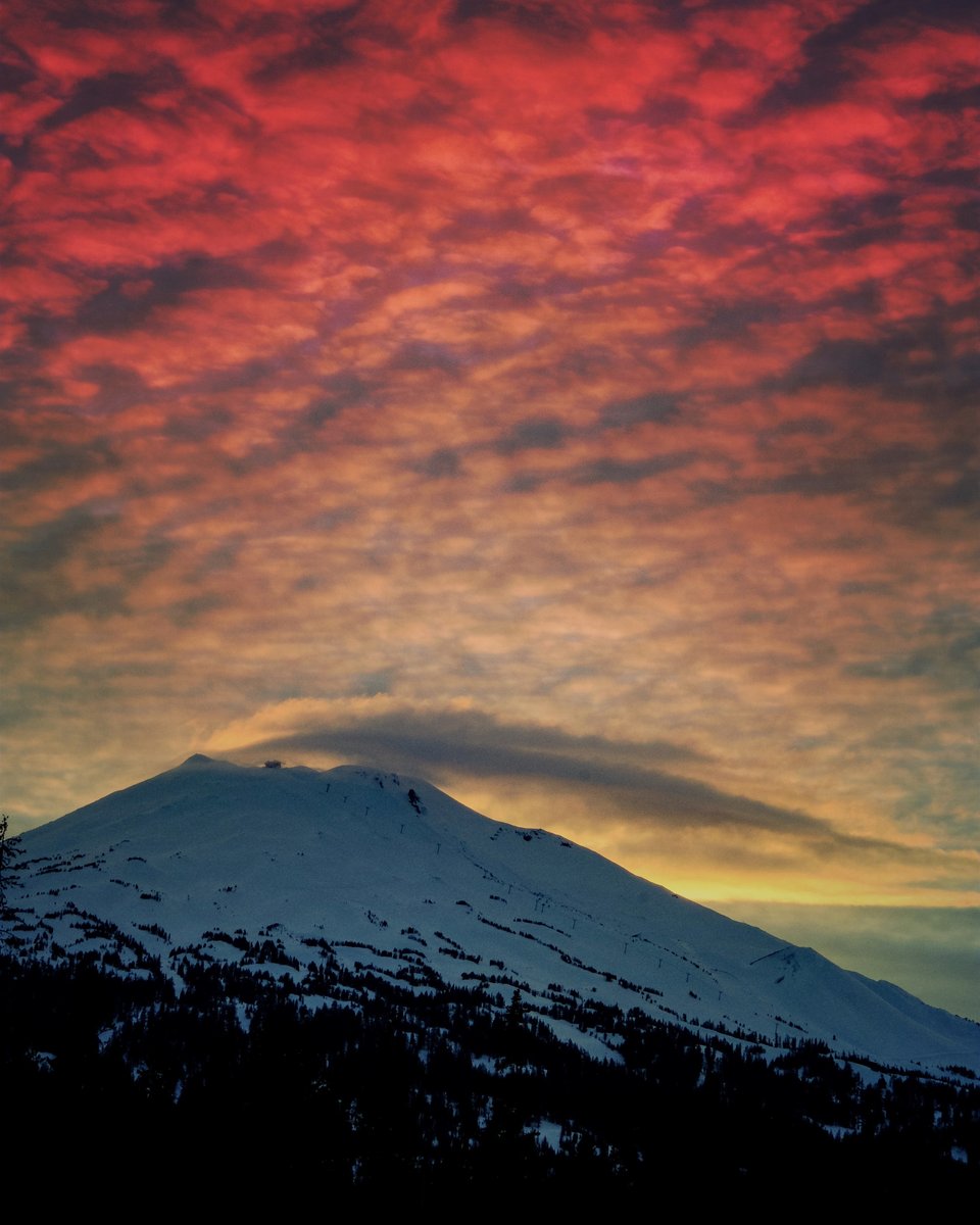 We're #hiring for #jobsinbendoregon!  Keep an eye on our careers page for current opportunities. #Analyticalchemistry #Engineering #Pharmaceutical  bendbioscience.com/careers/