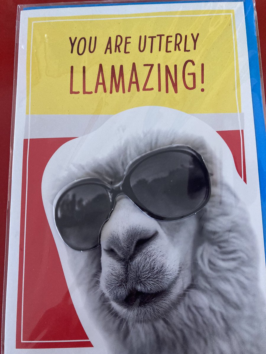 Lucinda Tobyjug tweet media