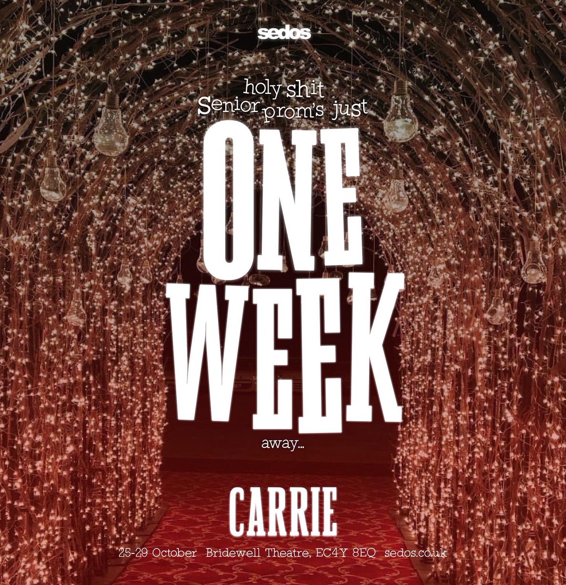 sedos's tweet photo. Just one week to go, kids! There’s only Saturday tickets left (matinee and evening) - so snap them up while you can! Link in bio. #Halloween2022 #londonhalloween #carriewhite #londonmusicals #offwestend #stephenking #musicals https://t.co/1NdbaEhbZL