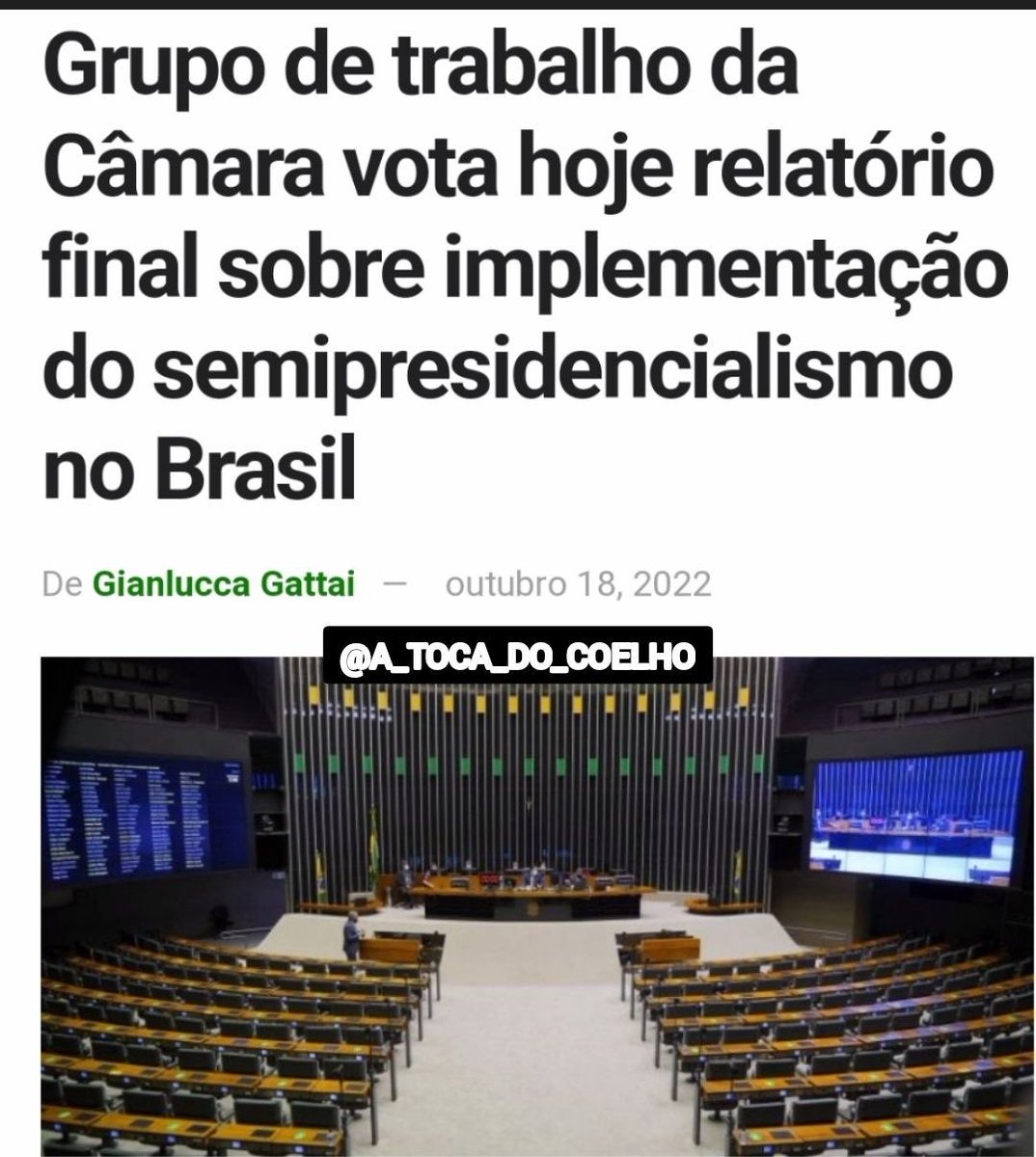sararbangelo tweet media