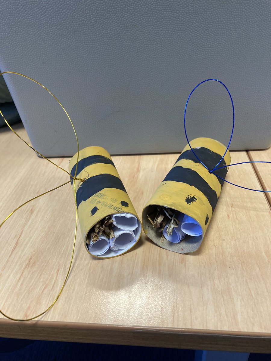 WlpsYear2's tweet image. 2H made Bee Hotels! Collecting all those items made sense today 👍🏼#environmentalexperts #savethebees #recycle #reuse