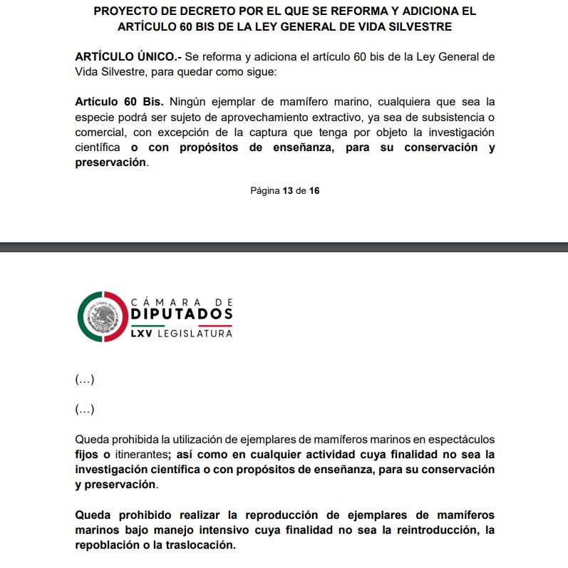 Juan Ortiz 🗳️👁‍🗨 tweet media