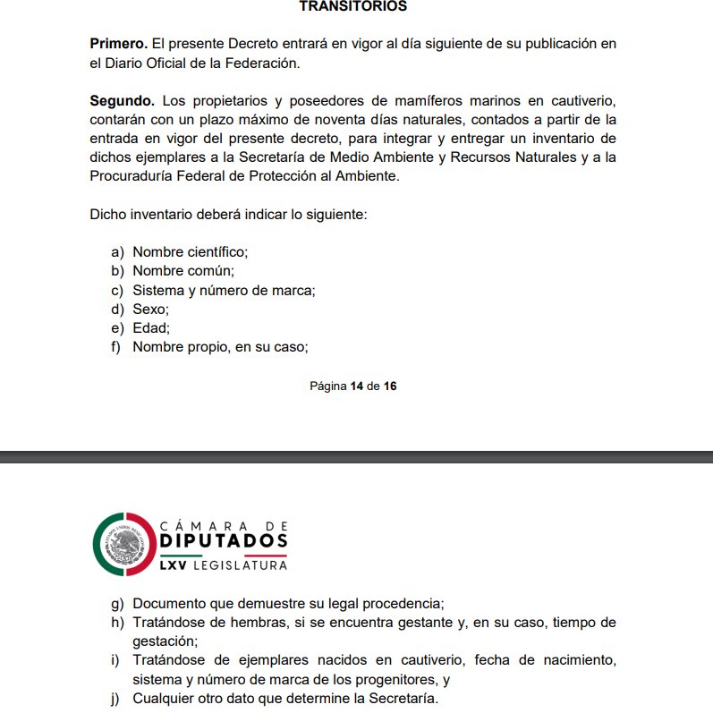 Juan Ortiz 🗳️👁‍🗨 tweet media