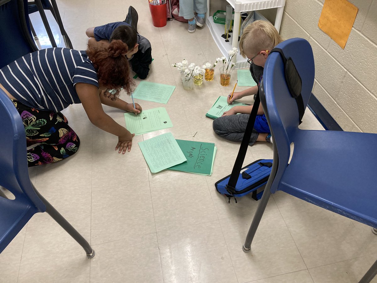 Fearless4th's tweet image. Our experiments are in full swing in Ms. Reighard’s room! Ask your Macaw about the exciting observations they have made so far! Experiments will be coming to Mrs. Sweigart’s room next week! #4thscience @BearCreekEtown