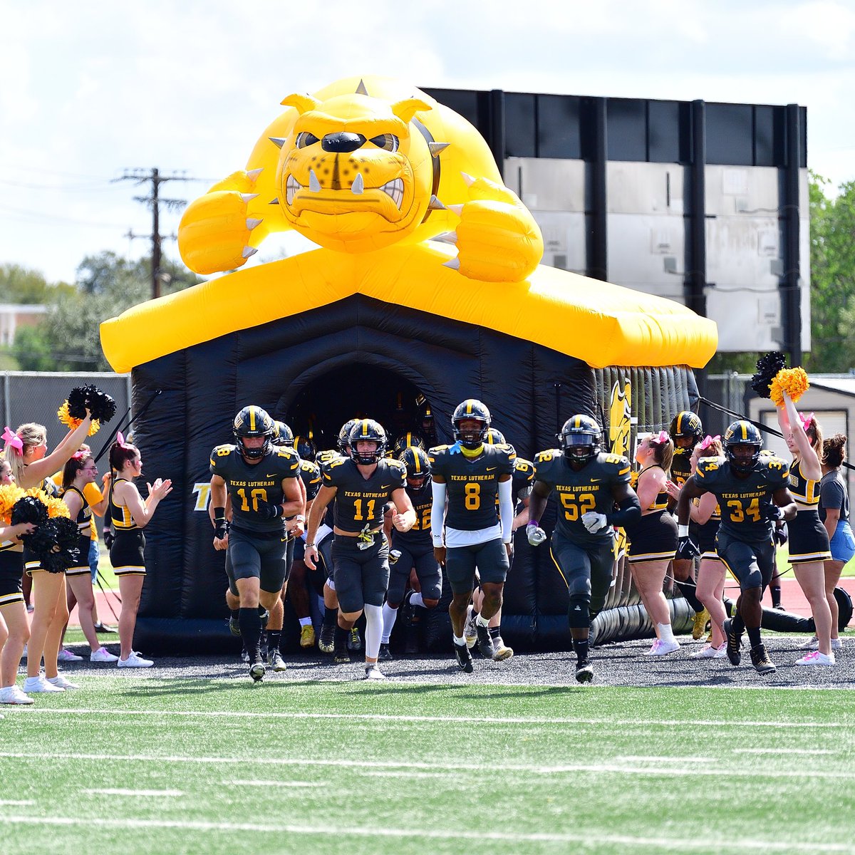 TLU_Football's tweet photo. New week. New opportunity.

#TooLiveU | #PupsUp https://t.co/pDApDlTJEA