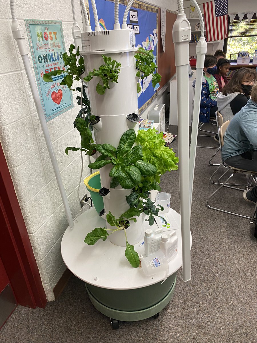 ATalley204 (@atalley204) on Twitter photo McCarty Mustangs are learning about Tower Gardens. Students are growing leafy vegetables in their garden! Students are excited about harvesting their crops soon. <a href="/McCarty_PTA/">McCarty Mustangs PTA</a> <a href="/mustangpride204/">McCarty Elementary</a> McCarty Mustangs are learning about Tower Gardens. Students are growing leafy vegetables in their garden! Students are excited about harvesting their crops soon. <a href="/McCarty_PTA/">McCarty Mustangs PTA</a> <a href="/mustangpride204/">McCarty Elementary</a>
