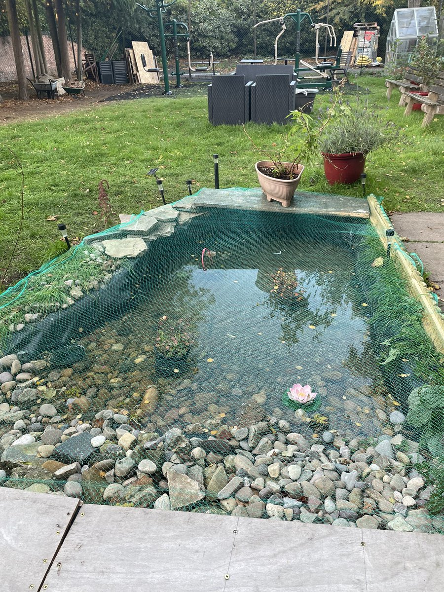 JackieHarriettHouse tweet media