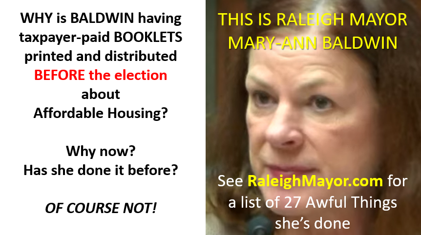TheRealNewsBuzz's tweet photo. #ralpol #maryannbaldwin #WorstMayorInHistory https://t.co/vzh0XUMBEN