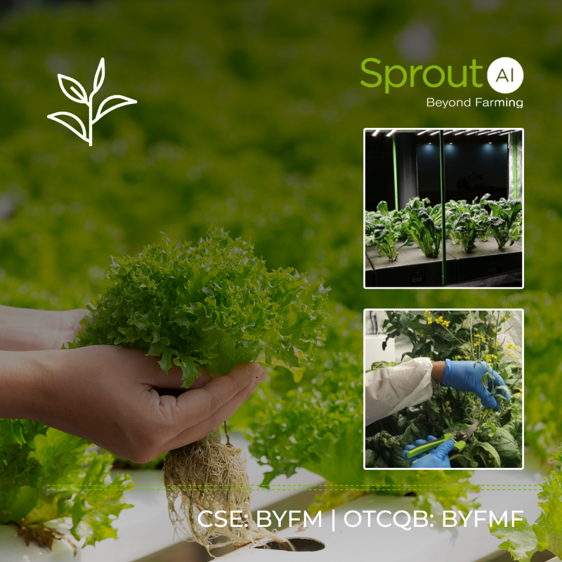 SproutAIS's tweet photo. 🌿 Our innovative urban indoor #cultivation tech brings the farm into the city in a way that maximizes the use of cubic space, all while reducing traditional #farming’s emissions &amp; impact on urban waste, water, sanitation, &amp; transport infrastructure.

Dive into our #ESG policy👇