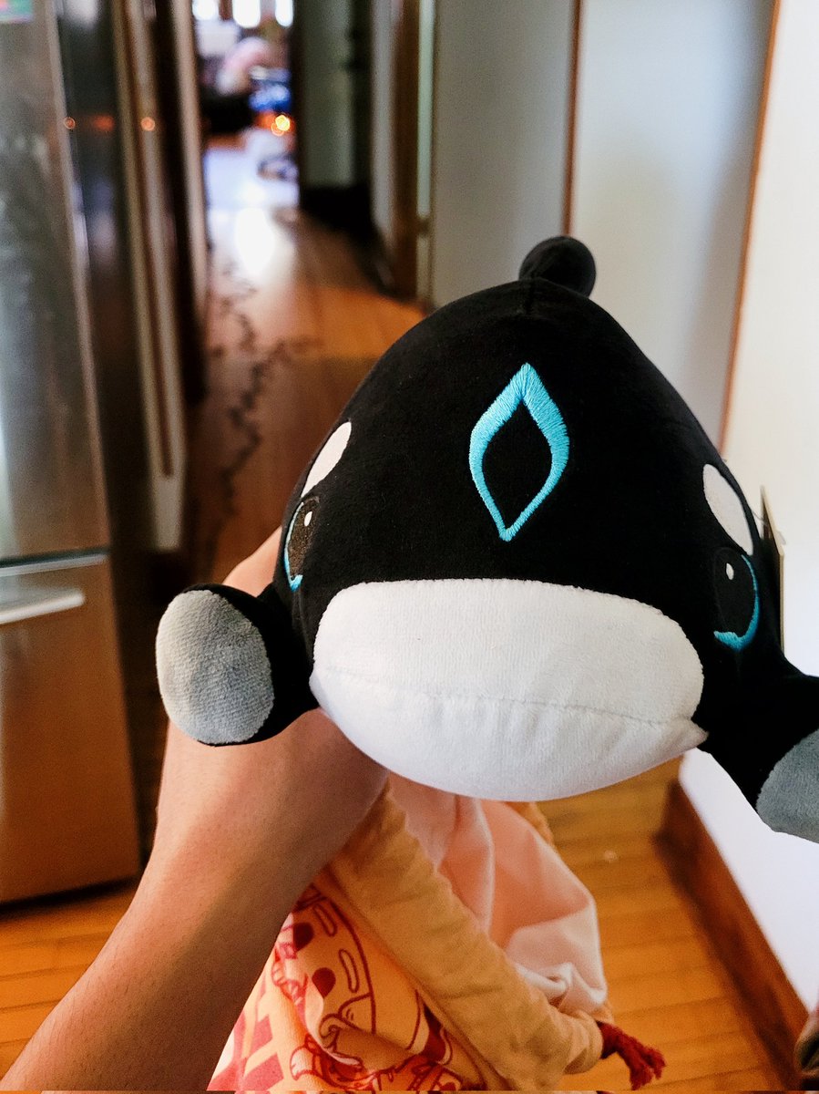 f1rend's tweet photo. Yall my @shylilytwitch #orcapup came in and im so happy rn 😭😭😭 https://t.co/Gje1zTGjl2