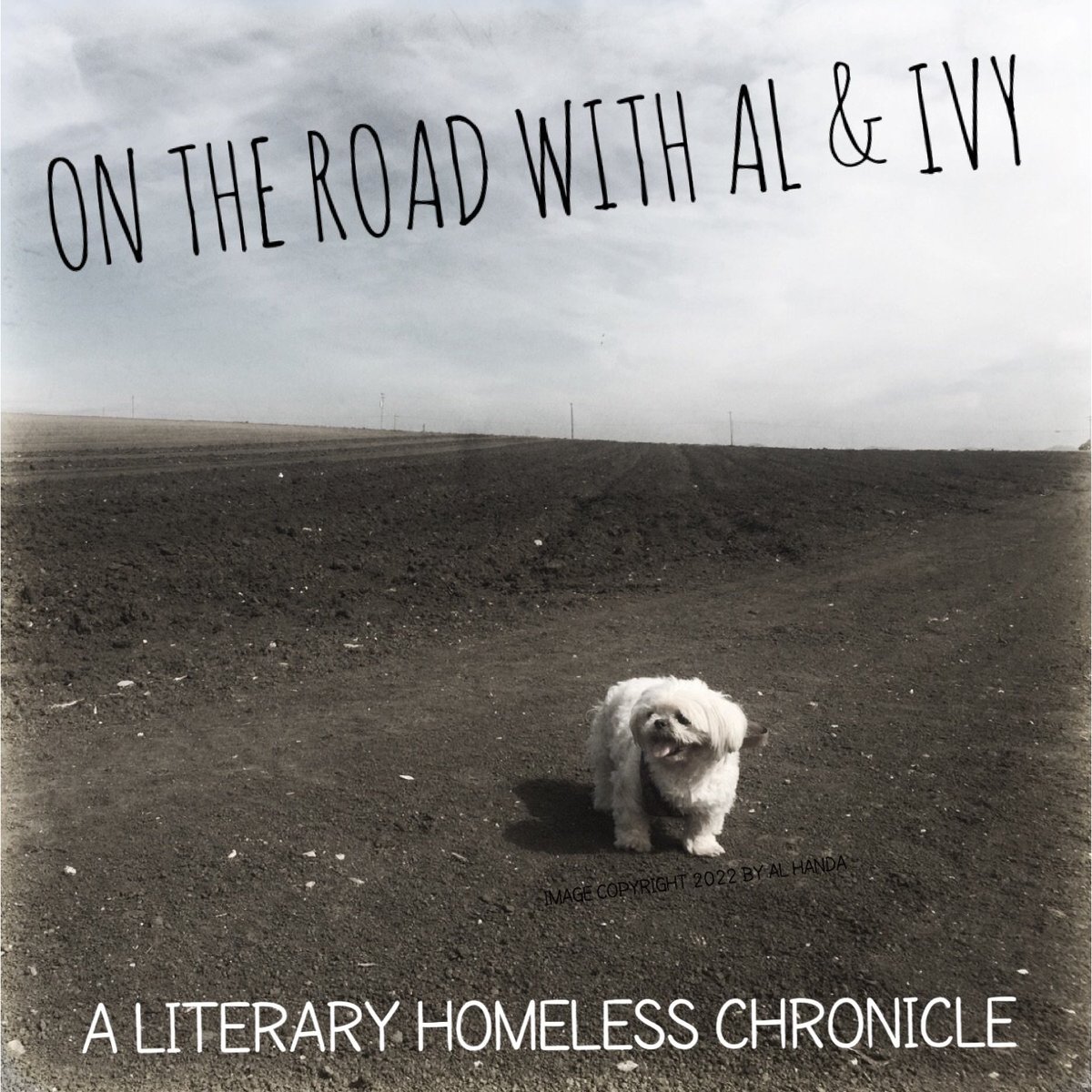 On The Road With Al and Ivy - Oct '22: Witches and Black Cats Pt 4, Queen Khleopahtra, Mr. Peabody and Sherman, Fractured Fairy Tales, Robert Graves, Joan of Arc, Vella observations, updates on my Vella stories and more! #Halloween #cats #vella #witches ontheroadwithalandivy.blogspot.com/2022/10/on-roa…