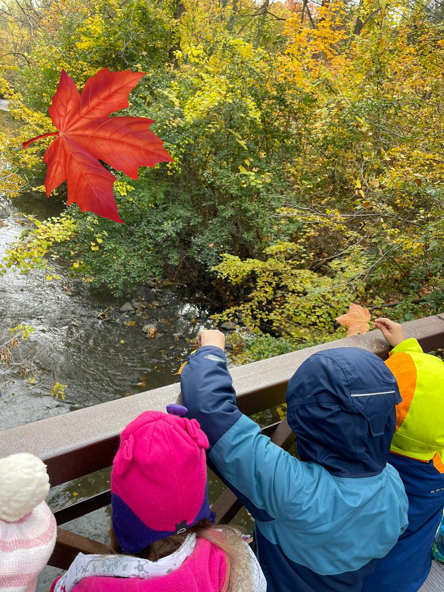 spankyfinch's tweet photo. @HollywoodTdsb #grade2and3 #miigetch @ForestValleyOEC #river #leafdrop @TOES_TDSB #outdooreducation #responsibility https://t.co/5HNGXH8P0H