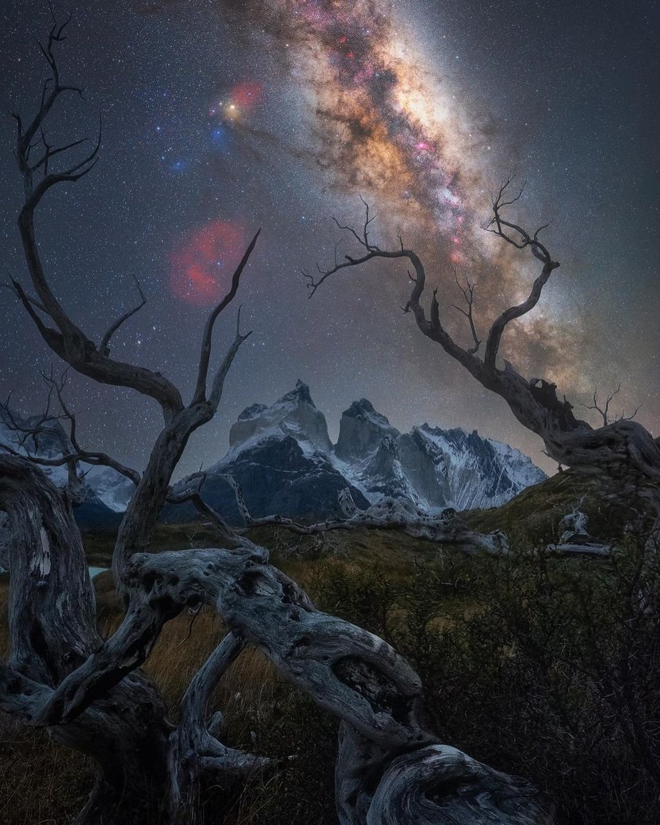 <𝗣𝗮𝘁𝗮𝗴𝗼𝗻𝗶𝗮 𝗖𝗶𝗲𝗹𝗼𝘀 𝗱𝗲𝗹 𝗙𝗶𝗻 𝗱𝗲𝗹 𝗠𝘂𝗻𝗱𝗼>
𝐓𝐎𝐑𝐑𝐄𝐒 𝐃𝐄𝐋 𝐏𝐀𝐈𝐍𝐄
〽️680 msnm +/-
🚙129 km de #PuertoNatales ruta CH-9
ℹ️ #ReservaDeLaBiosfera por #UNESCO
•<𝐂𝐢𝐞𝐥𝐨𝐬 𝐍𝐨𝐜𝐭𝐮𝐫𝐧𝐨𝐬 𝐃𝐞 𝐂𝐡𝐢𝐥𝐞>•
#AstroFotografiaChile
📷Pablo Ruiz García