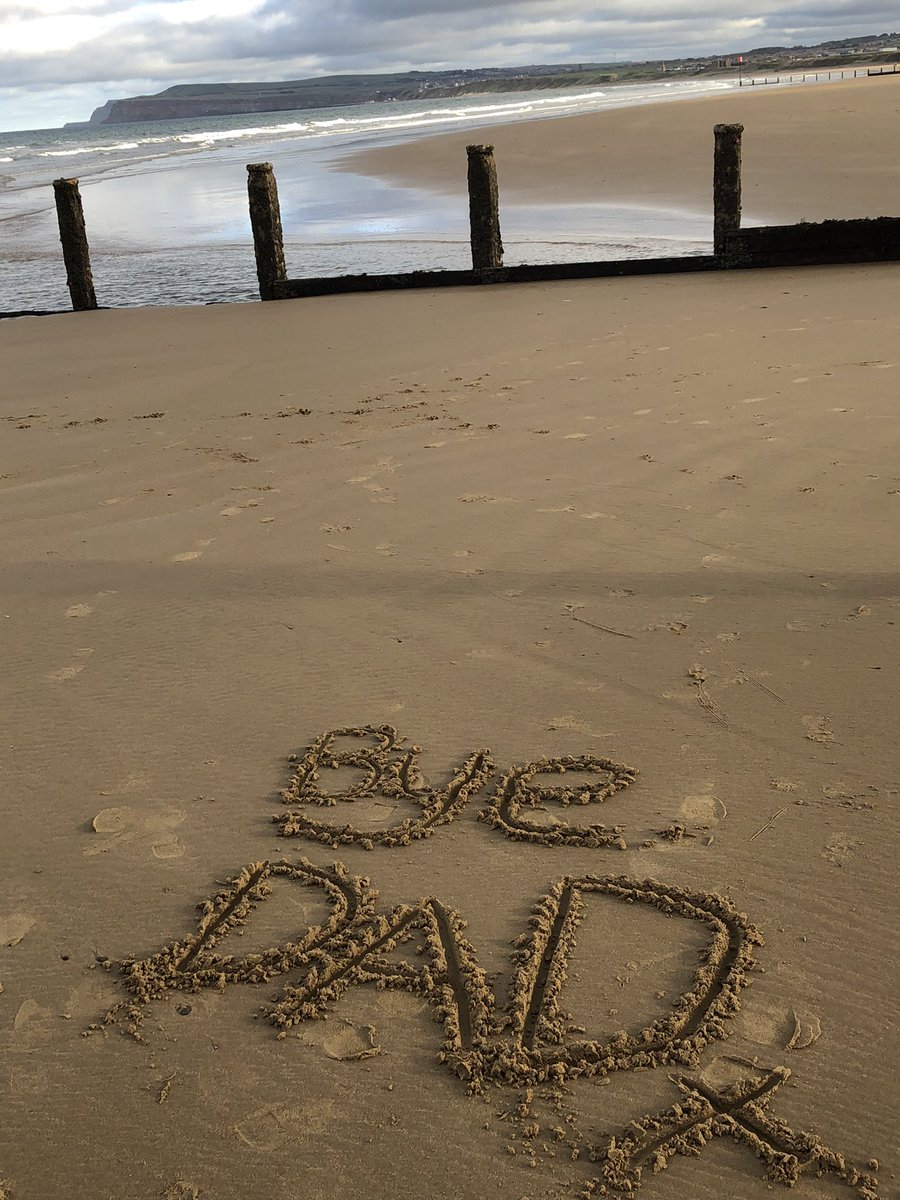 🌻Angela Green (she/her) 🌻 tweet media