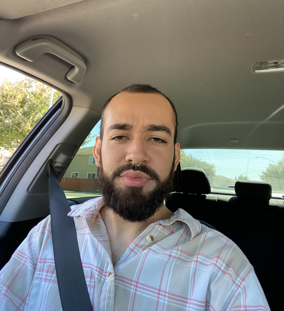 Alixeffev_nft's tweet photo. newest sf resident yay!!!! https://t.co/UzHqJ33xYf