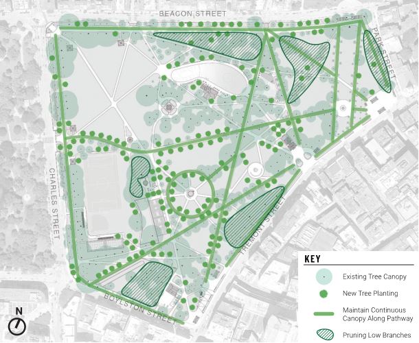BostonCommonMP's tweet image. The first Common-wide strategy in the Master Plan is tree planting! New tree planting will enhance views, fill in gaps within the existing tree canopy, and help the park adapt to climate change.

Let us know what you think about trees planting at bostoncommonmasterplan.com