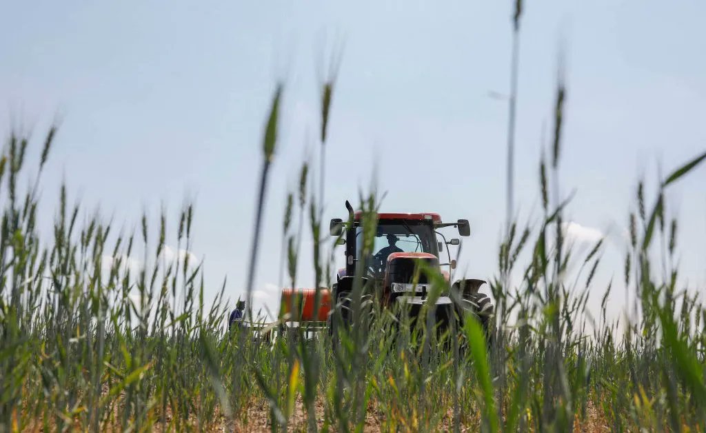 Groundswell International (@groundswellint) on Twitter photo Industrial Farming Causes Climate Change. The ‘Slow Food’ Movement Wants to Stop It > <a href="/TIME/">TIME</a> #agroecology #regenerativeagriculture #climatecrisis buff.ly/3Rgr0sI Industrial Farming Causes Climate Change. The ‘Slow Food’ Movement Wants to Stop It > <a href="/TIME/">TIME</a> #agroecology #regenerativeagriculture #climatecrisis buff.ly/3Rgr0sI
