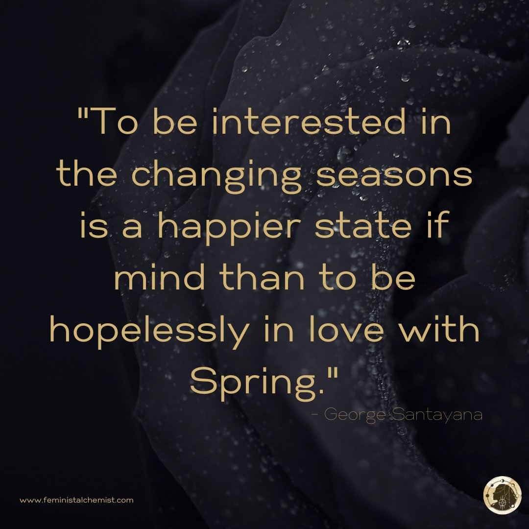 SamaraAlchemist's tweet image. #quote #georgesantayana #georgesantayanaquotes