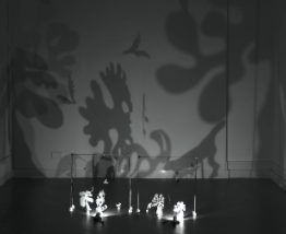 Photo Fringe tweet media