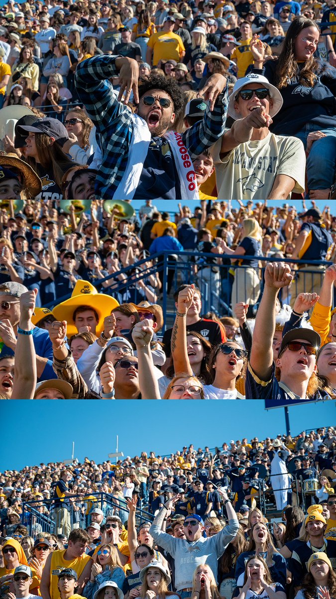 Montana State Football tweet media