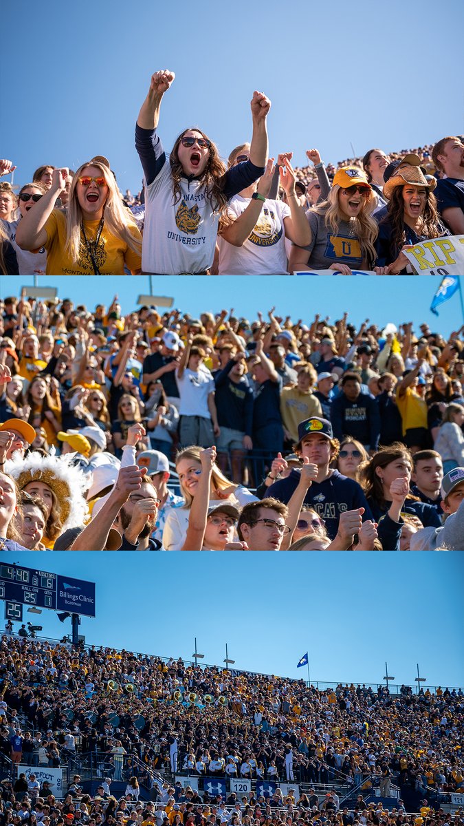 Montana State Football tweet media
