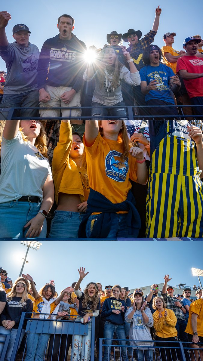 Montana State Football tweet media