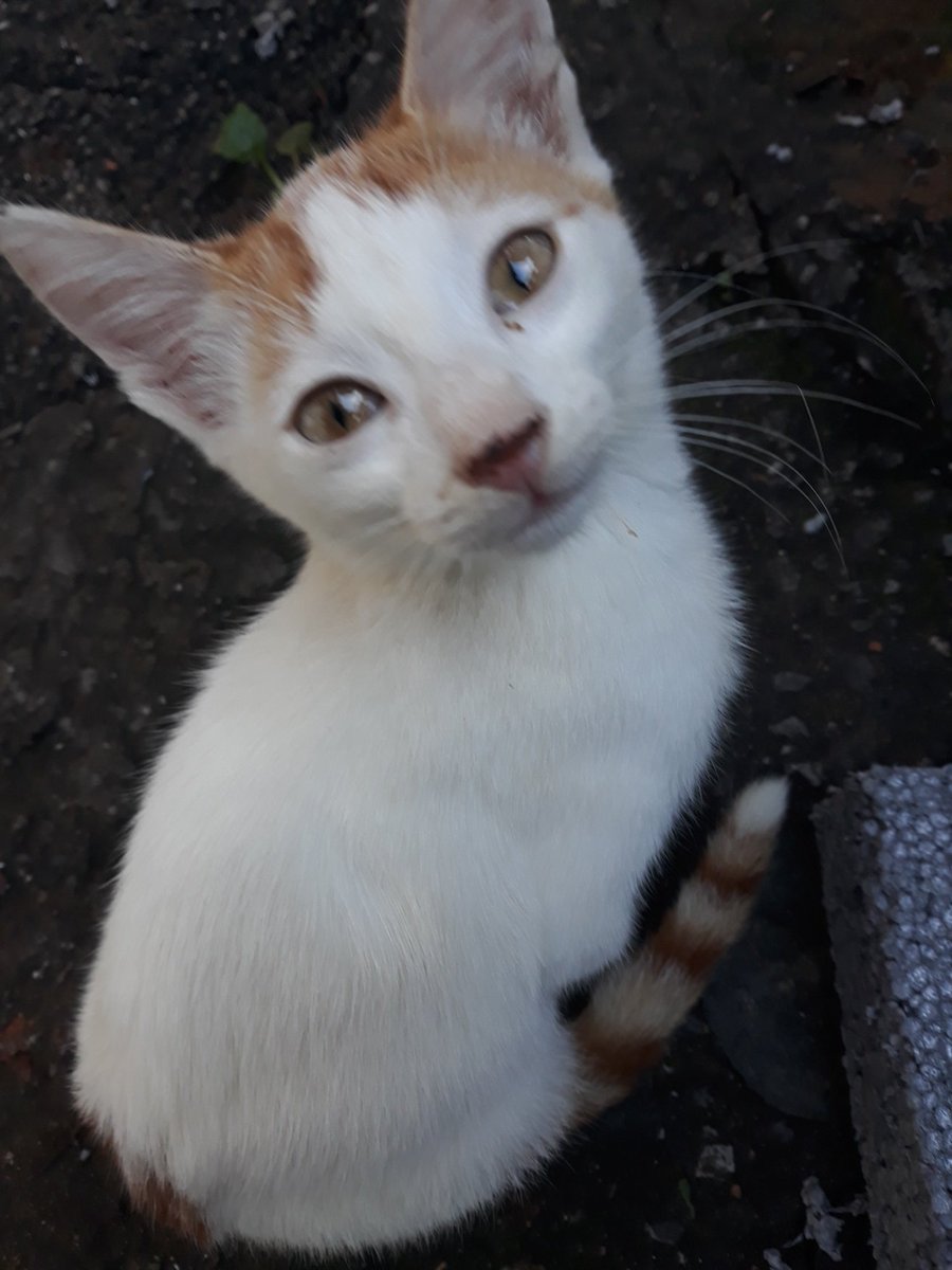 Nereye bakıyor olabilir