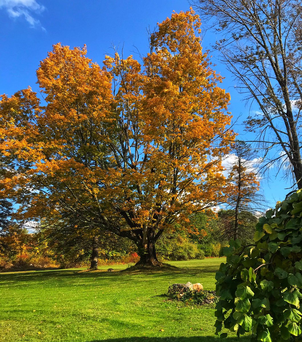 Finally on holiday in the vast-ish New England expanse where I grew up.