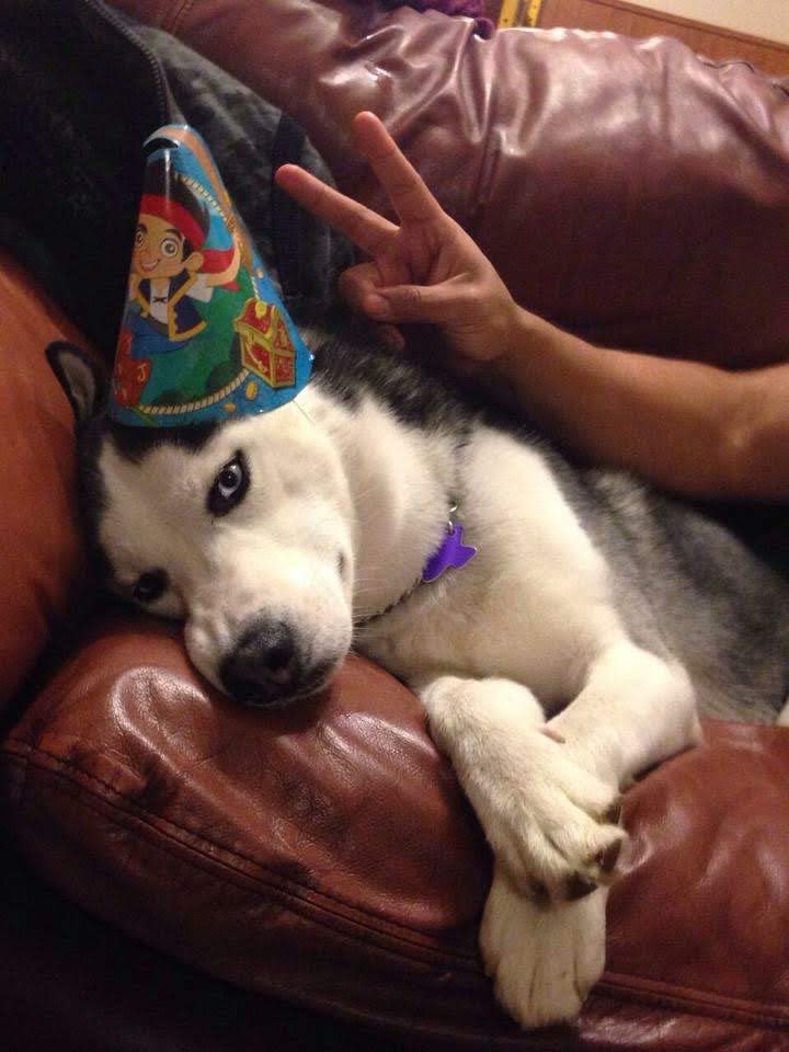 casr714's tweet photo. Feliz cumpleaños Leo de mi alma. 🖤
Hoy estarías cumpliendo 10 años con nosotros. 🫶🏽 gracias por tanto. https://t.co/EX04dtRc8O