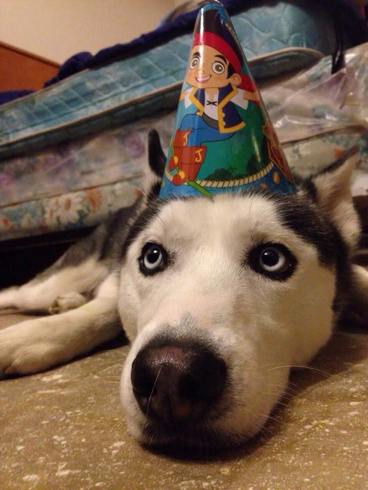 casr714's tweet photo. Feliz cumpleaños Leo de mi alma. 🖤
Hoy estarías cumpliendo 10 años con nosotros. 🫶🏽 gracias por tanto. https://t.co/EX04dtRc8O