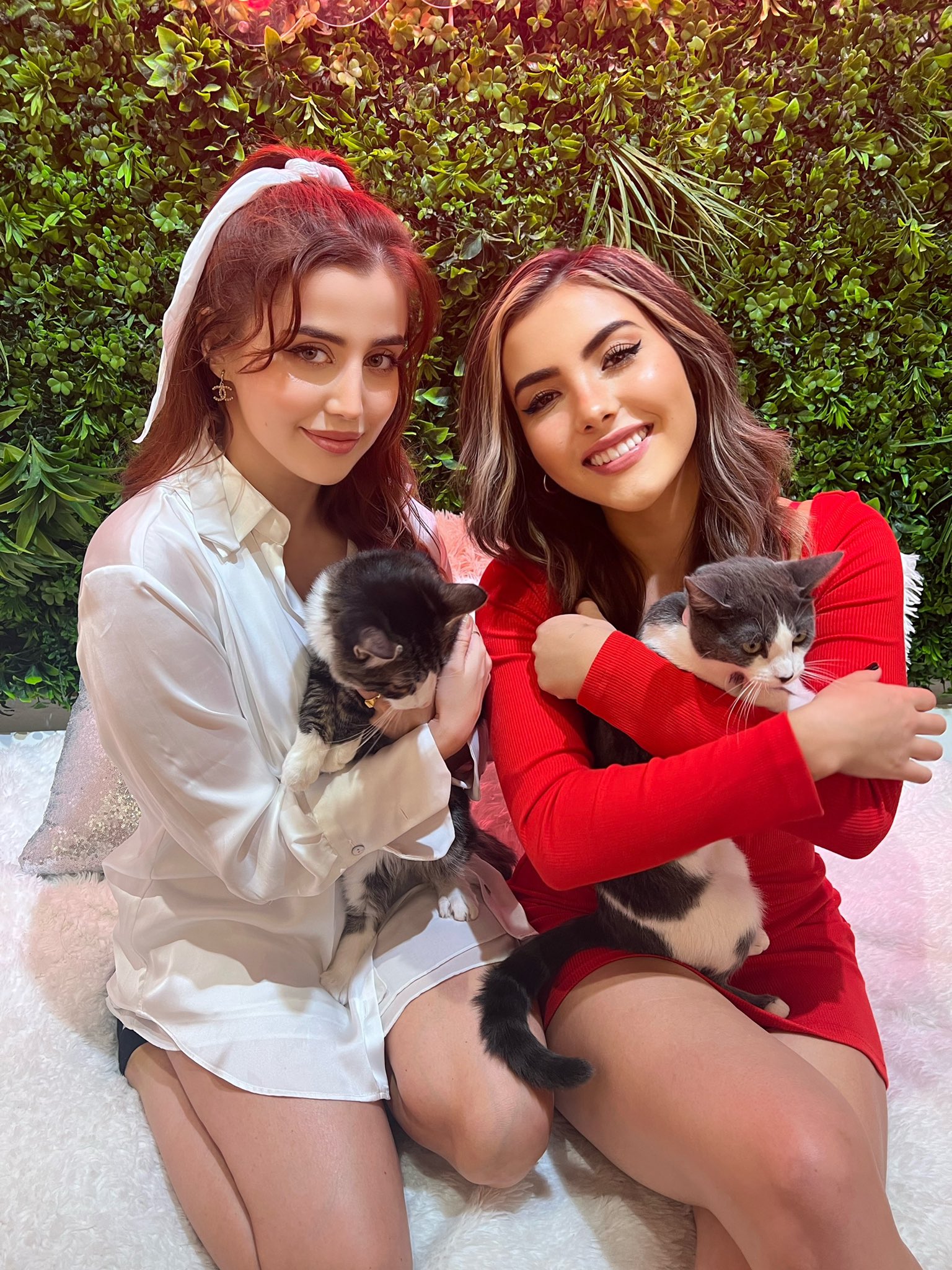 Andrea Botez Onlyfans: Is This The End? - 5rmyomd