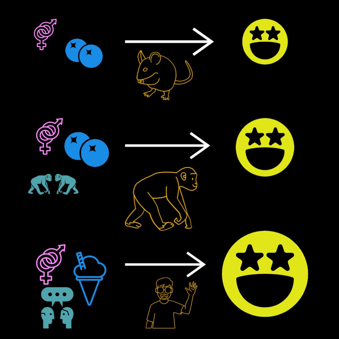 Senseofmindshow's tweet photo. The Evolution of Pleasure

Learn about the evolution of pleasure here: https://t.co/D7dfqs5HgC

#evolution #pleasure #neuroscience101 https://t.co/4hYj02BUub