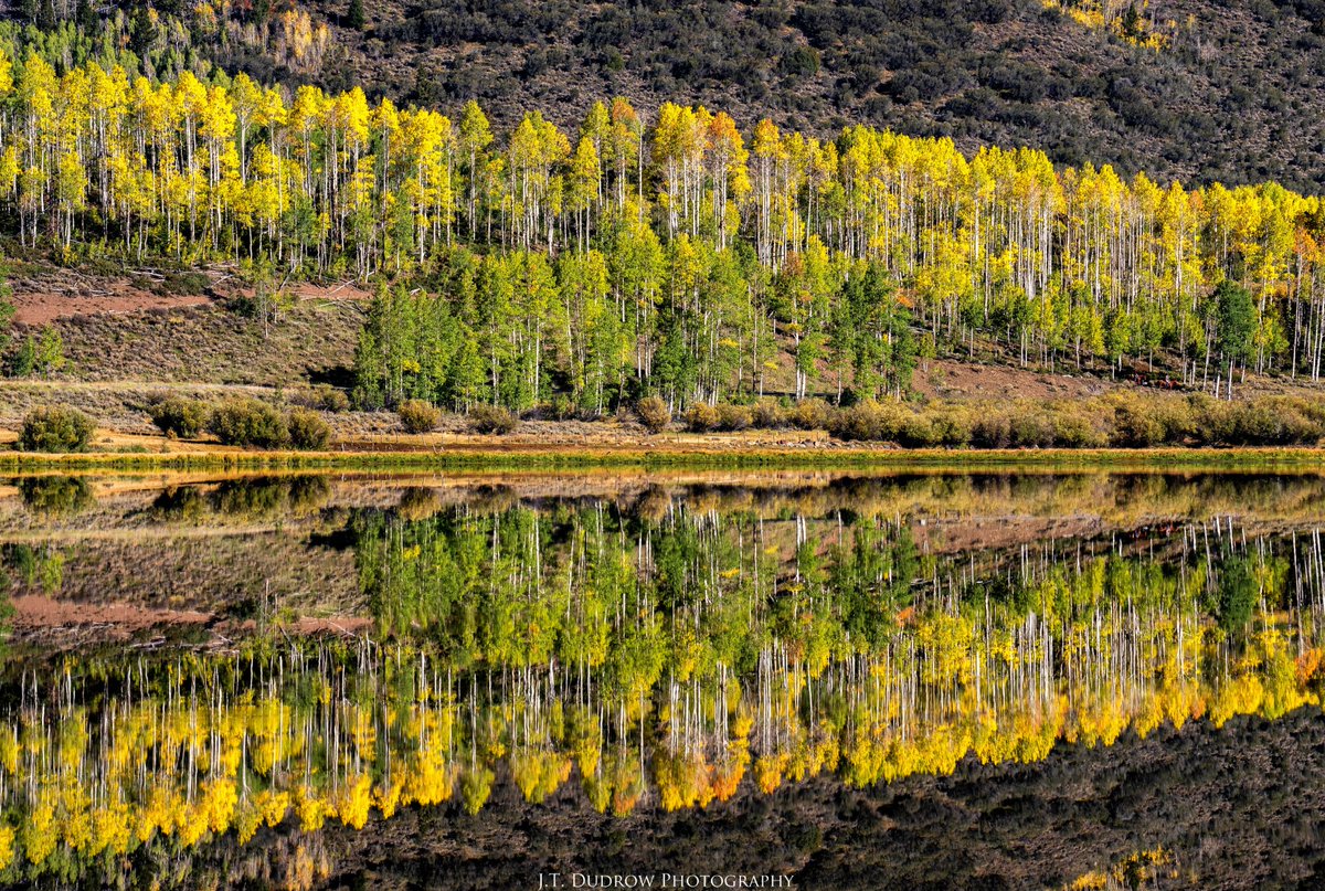 Glassy aspen reflections on Fish Lake #utah #autumncolors #fallcolors #landscapephotography