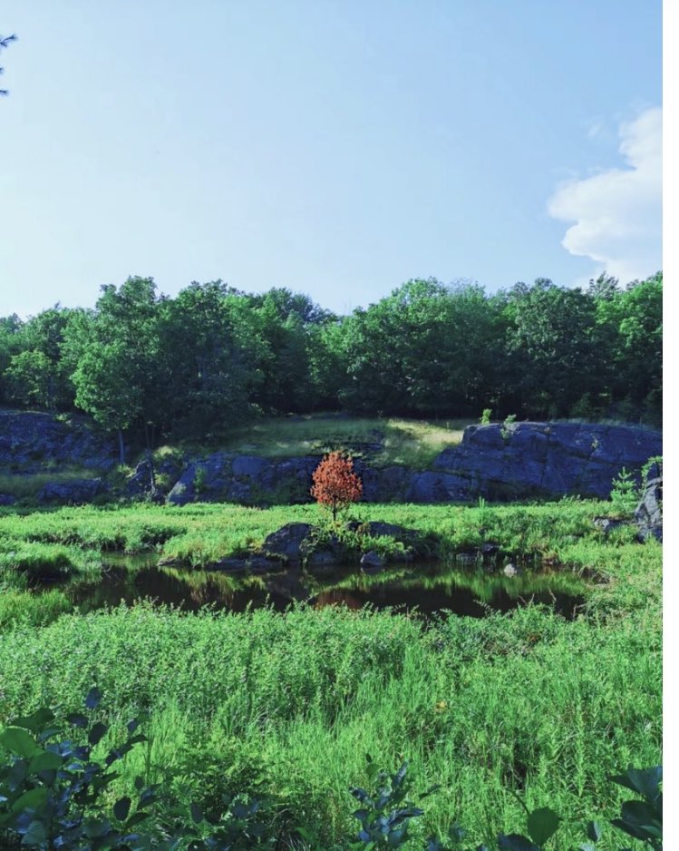 JCACSRACEC's tweet photo. What is the importance of land and space? 

Check out what our Musers wrote about land acknowledgments, practices, and protocols in curriculum studies.

https://t.co/GLD87uSuwM 

@cacs_acec @ShuyuanLiu @sj_bartlett https://t.co/BxWuro3QsO