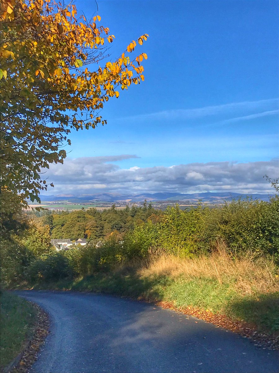 Autumn road in #Angus #Scotland