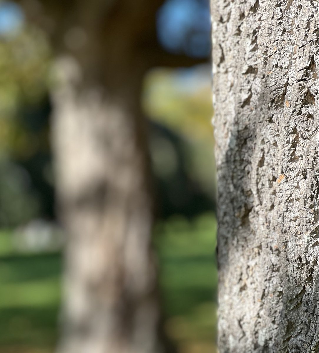 fivearchitects's tweet image. Beautiful Portsmouth, mindful walk for 30 minutes #iphone13 #mindfulness #Autumn #colourphotography #bluesky