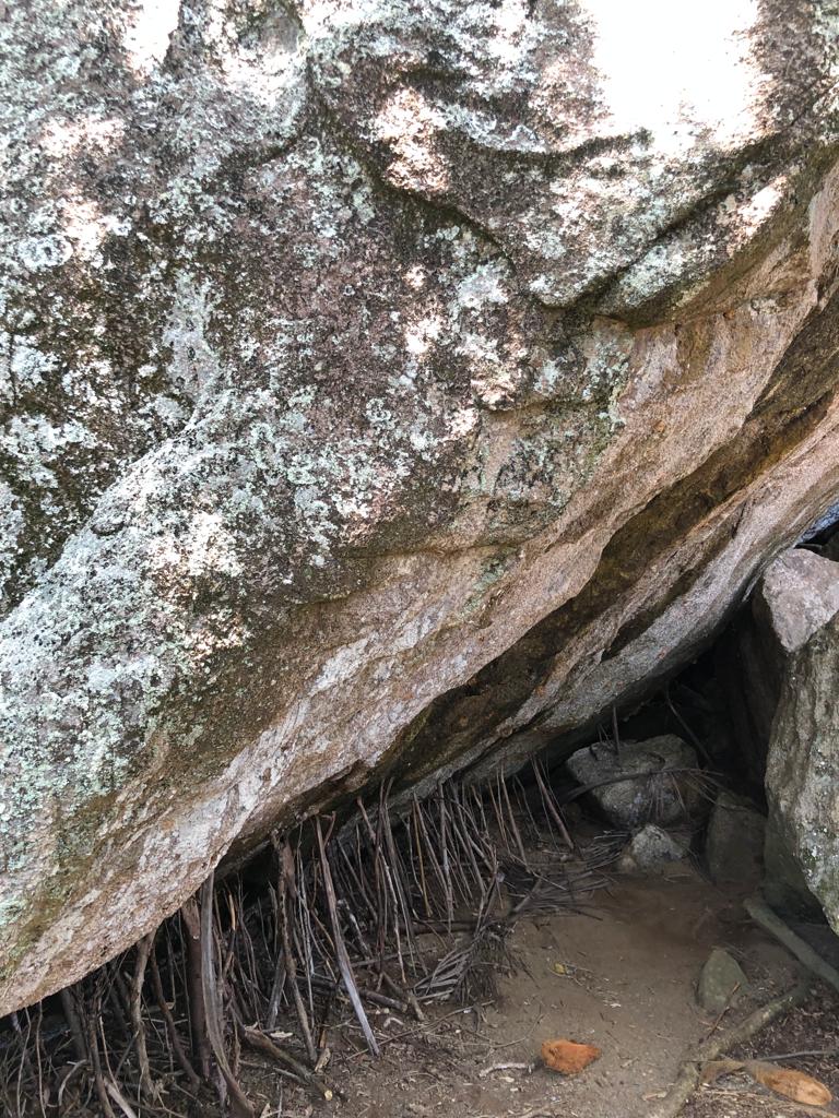 vikramgrawol's tweet image. A life size depiction of memes supporting the mental health of an entire generation online.