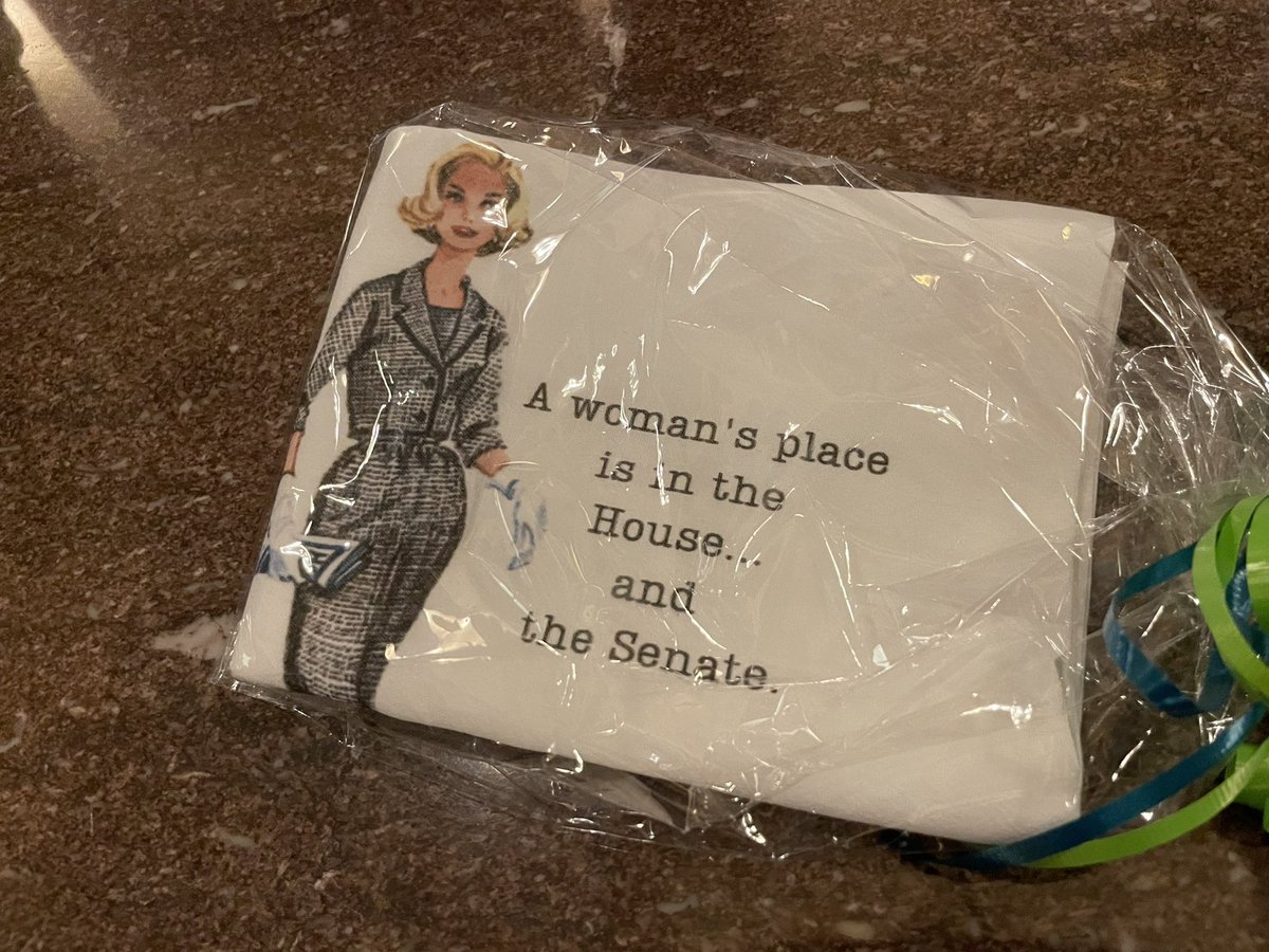 MaayanSchechter's tweet photo. Republican SC Sen. Katrina Shealy handed these tea towels out to each of the female senators (there are 5 total, including Shealy) after the Senate vote today. https://t.co/4xGxXVAiid