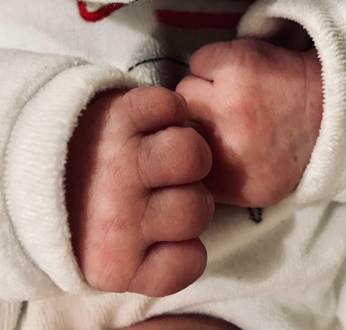 Imma Oliveras Menor tweet media