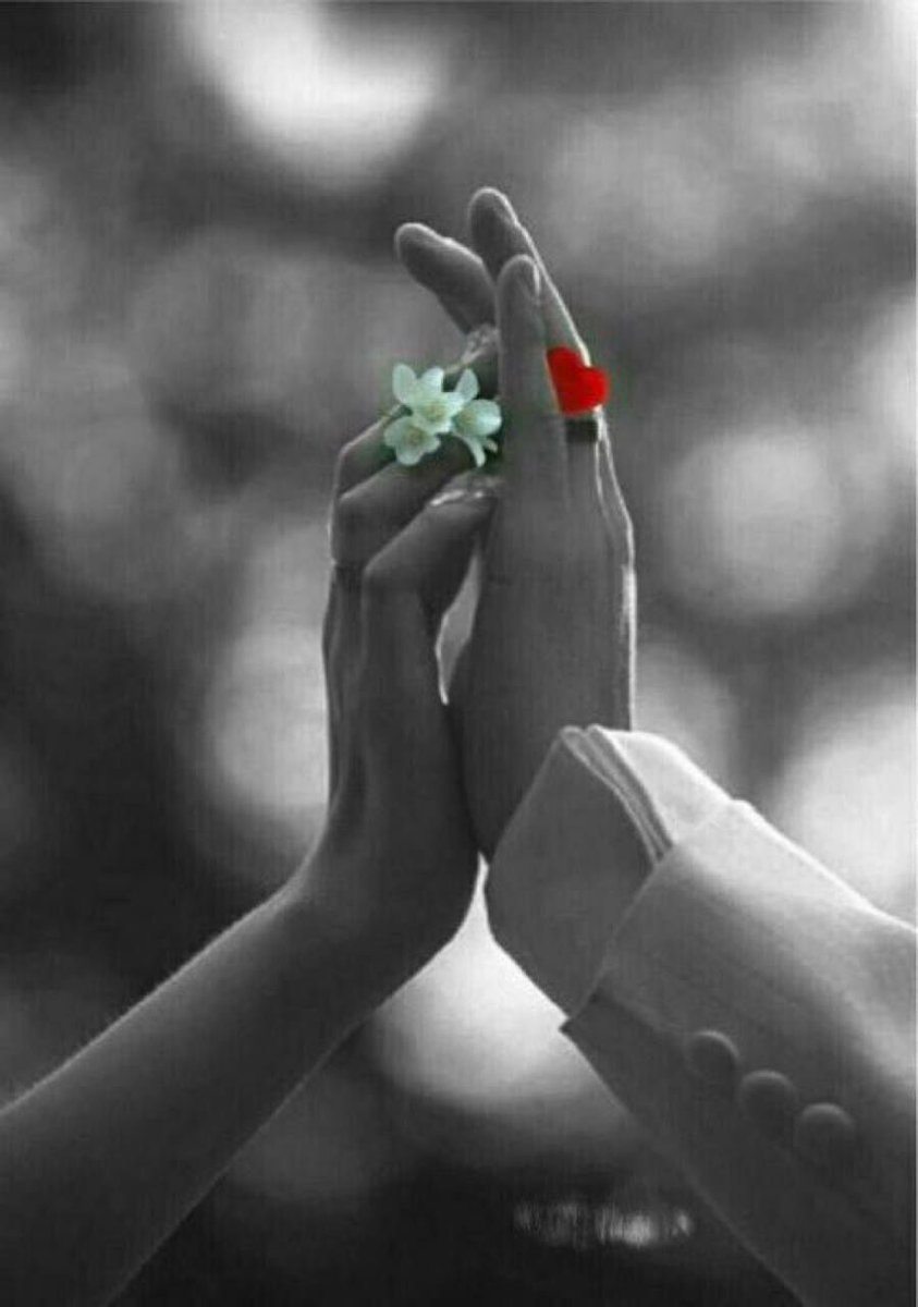 أحبّك، ذلك الحب الذي لا يطفئه نزاعات، و لا تفقد بريقه المسافات، ذلك الحب الذي لا يُنسى بكلمةٍ أو فعل، و لا ينتهي حتى عندما أقول إنتهينا، أحبّك كأنني لا أملك إلا أنتِ، كأن حُبّك ذخيرتي الأخيرة التي لا أود أن تنفذ أبداً♥️.