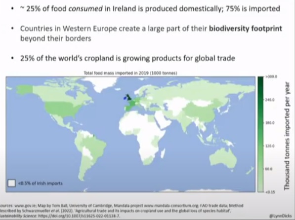 Pádraic Fogarty tweet media