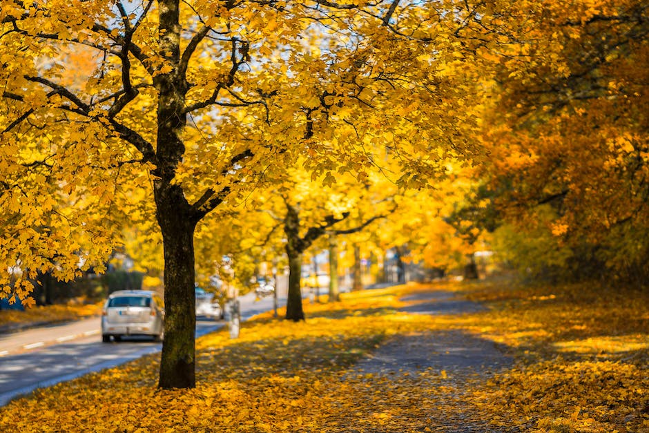 I4PLToronto's tweet photo. Join the Networking Walk this Thursday, Oct 20! Meet up spot at Queen's Park. Let's walk and talk about opportunities and challenges. Dress comfortably &amp; for the weather. Details will be emailed to registered guests only. Register now at https://t.co/FTLdGR0OQ1 https://t.co/qHOebacxL4
